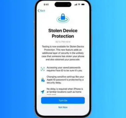 伍家岗苹果授权维修店分享被盗设备保护功能开启方法 