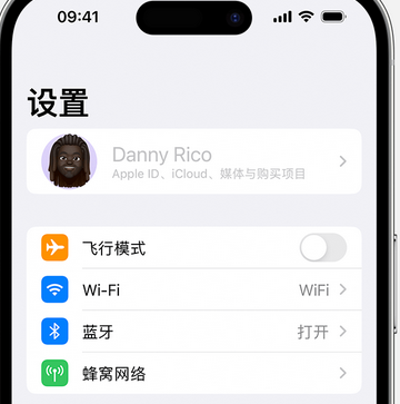 伍家岗appleID维修服务iPhone设置中Apple ID显示为灰色无法使用 