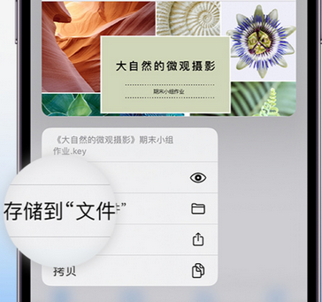 伍家岗apple维修中心分享iPhone文件应用中存储和找到下载文件