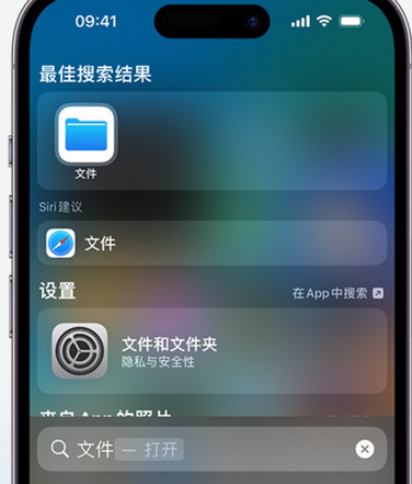 伍家岗apple维修中心分享iPhone文件应用中存储和找到下载文件 