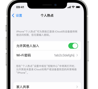 伍家岗apple服务站点分享iPhone上个人热点丢失了怎么办 