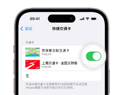 伍家岗apple维修点分享iPhone上更换Apple Pay快捷交通卡手绘卡面 