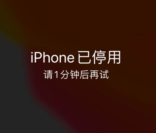 伍家岗苹果手机维修分享:iPhone 显示“不可用”或“已停用”怎么办？还能保留数据吗？ 