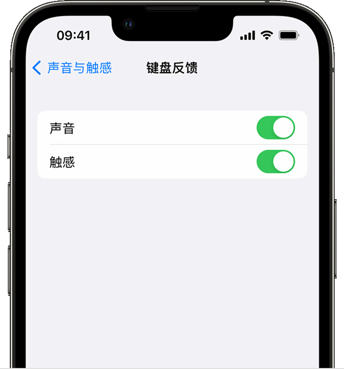 伍家岗苹果14维修店分享如何在 iPhone 14 机型中使用触感键盘 