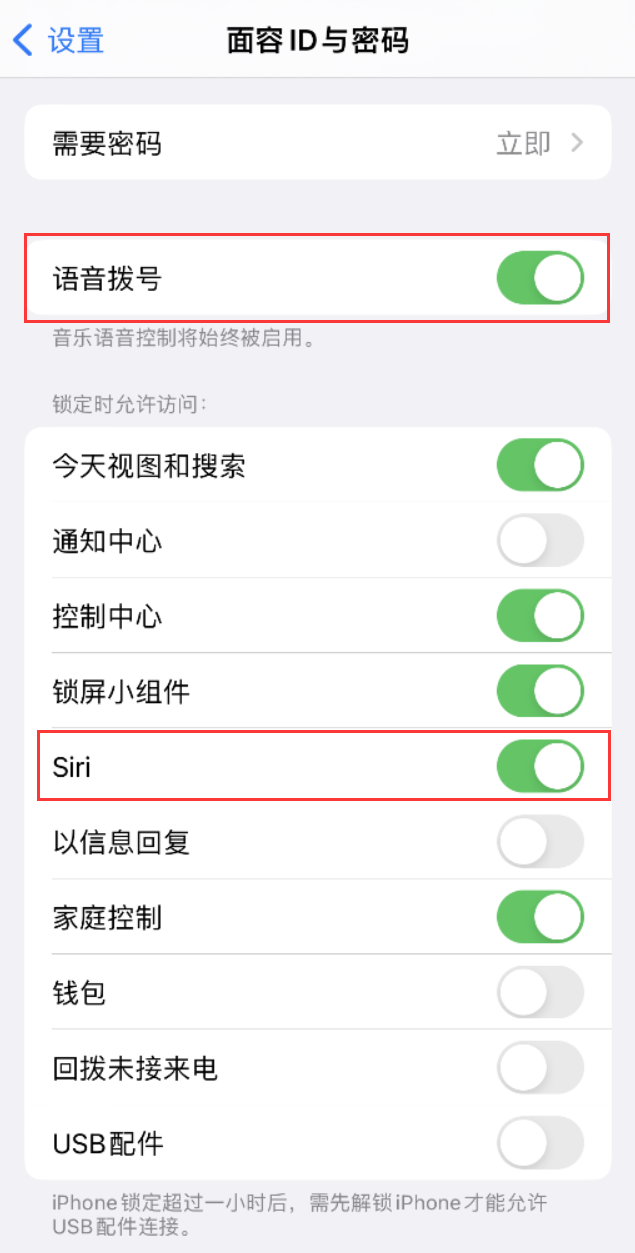 伍家岗苹果维修网点分享不解锁 iPhone 的情况下通过 Siri 拨打电话的方法 