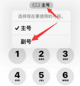 伍家岗苹果14维修店分享iPhone 14 Pro Max使用副卡打电话的方法 