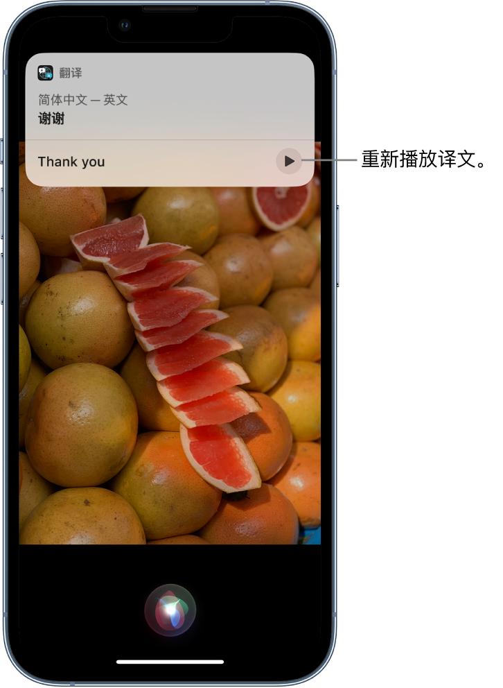 伍家岗苹果14维修分享 iPhone 14 机型中使用 Siri：了解 Siri 能帮你做什么 