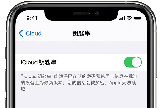 伍家岗苹果手机维修分享在 iPhone 上开启 iCloud 钥匙串之后会储存哪些信息 