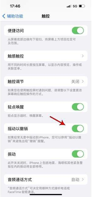 伍家岗苹果手机维修分享iPhone手机如何设置摇一摇删除文字 