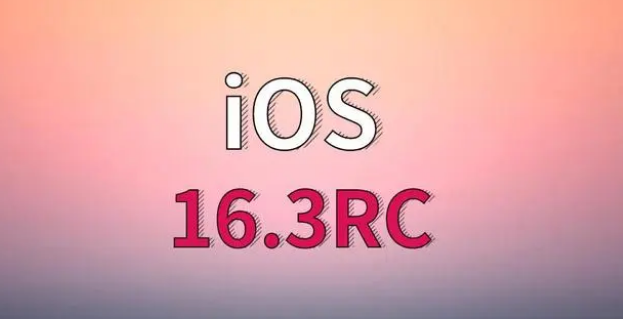 伍家岗苹果手机维修分享iOS 16.3 RC版升级_iOS 16.3 RC版一键刷机教程 